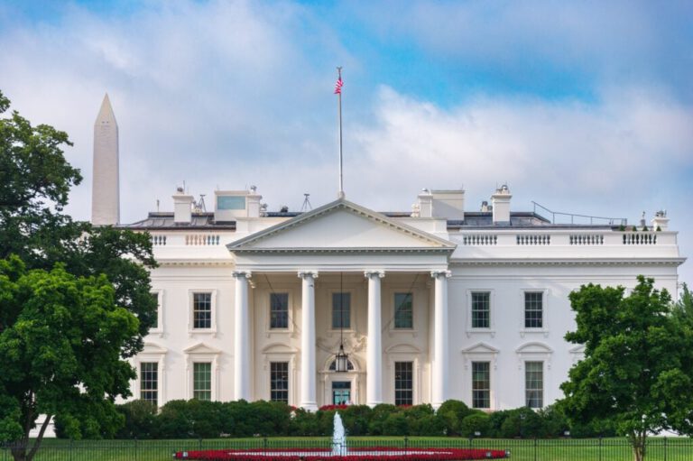 How Businesses Can Effectively Respond to Rapid Policy Changes from Washington, D.C.